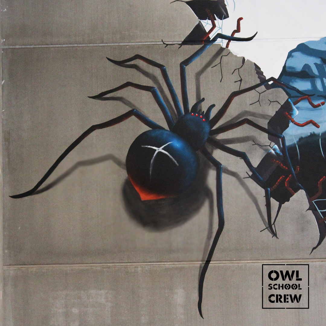 araña-pintada-en-gravetat-zero-terrassa-para-el-proyecto-arthopowl